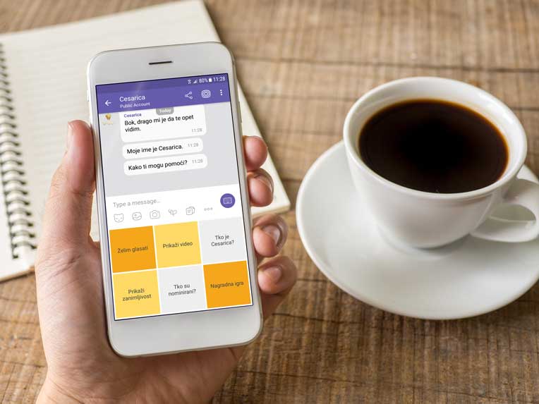 voting chatbot Viber